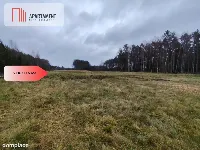 Tylko u Nas! Działka rolna o pow. 2,35 ha. — zdjęcie 5