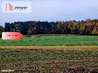Działka rolna — zdjęcie 3