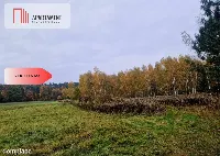 Działka rolna — zdjęcie 4