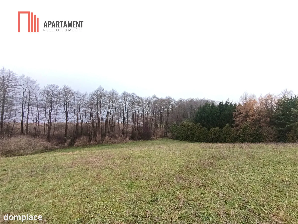 Działka rekreacyjna nad jeziorem — zdjęcie 2