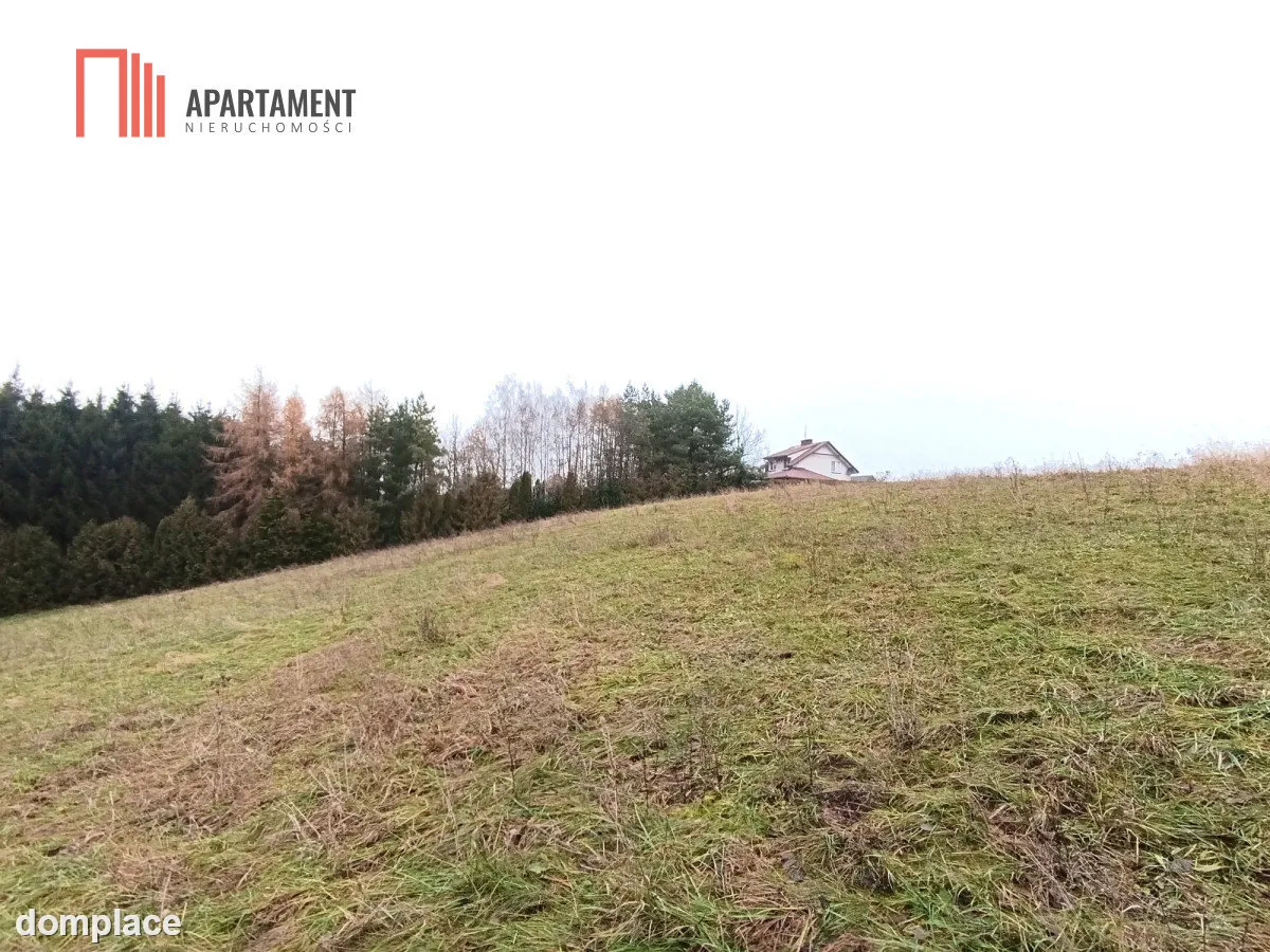 Działka rekreacyjna nad jeziorem — zdjęcie 4