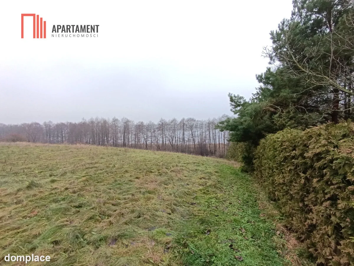 Działka rekreacyjna nad jeziorem — zdjęcie 5