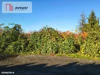 5 minut od miasta!mieszkaniowo-usługowa w Ratowice — zdjęcie 3
