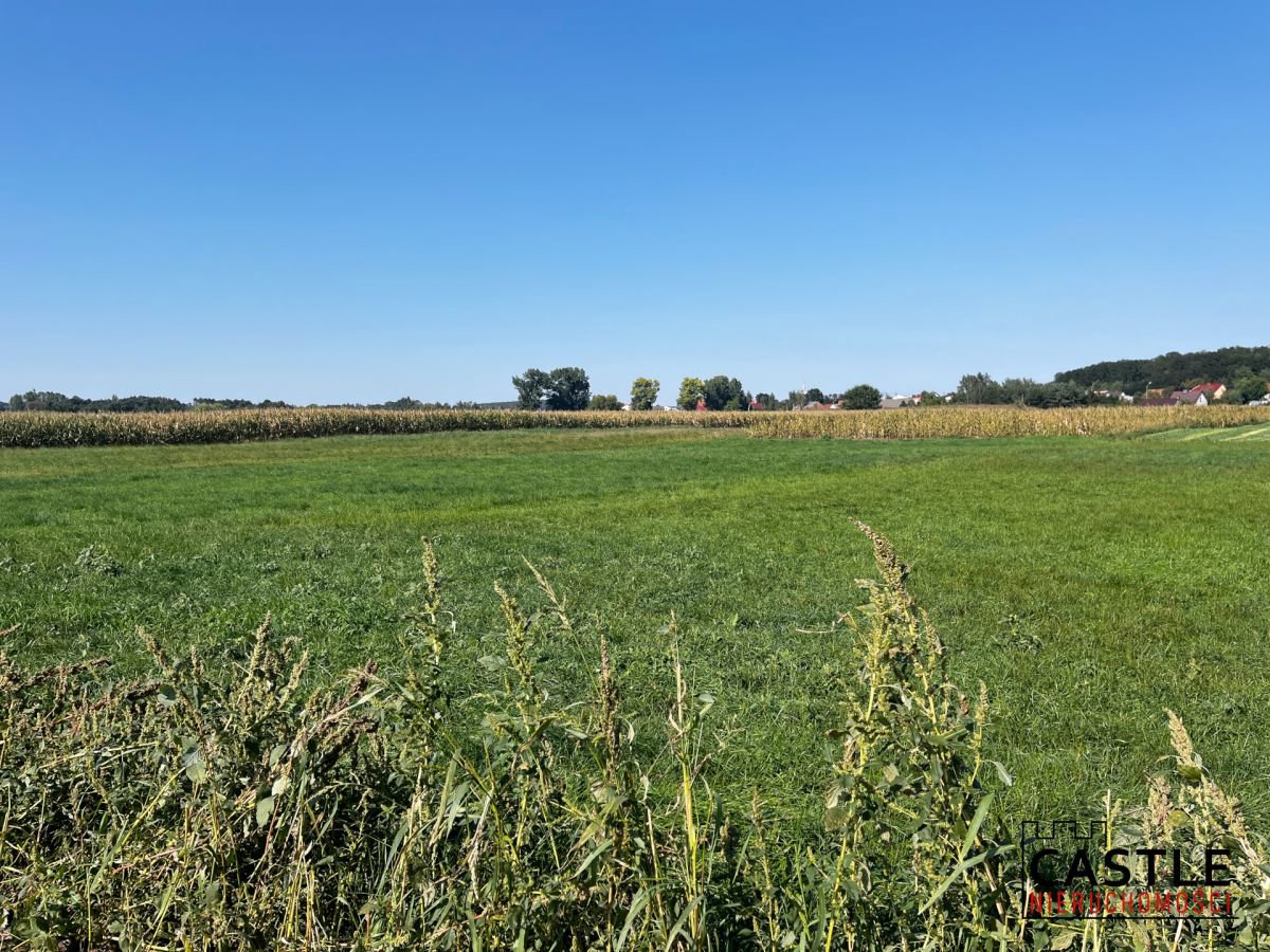 Miejsce na Twój Biznes. Kup działkę, wybuduj hotel
