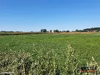 Miejsce na Twój Biznes. Kup działkę, wybuduj hotel — zdjęcie 1