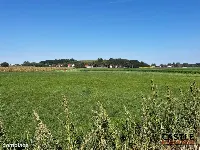 Miejsce na Twój Biznes. Kup działkę, wybuduj hotel — zdjęcie 5