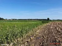 Miejsce na Twój Biznes. Kup działkę, wybuduj hotel — zdjęcie 6