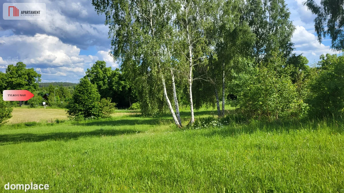 Piękne działki nad jeziorem Pile w Piławie — zdjęcie 2