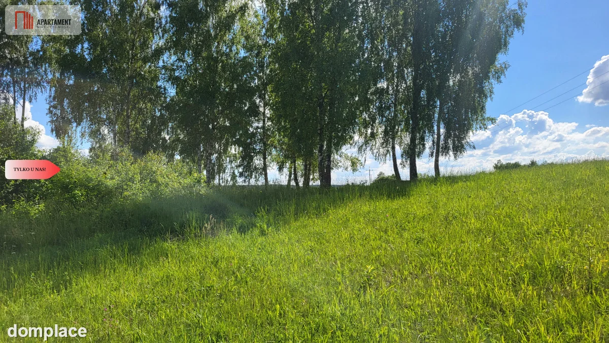 Piękne działki nad jeziorem Pile w Piławie — zdjęcie 3