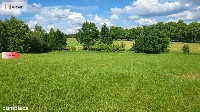 Piękne działki nad jeziorem Pile w Piławie — zdjęcie 4