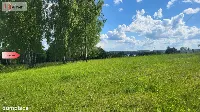 Piękne działki nad jeziorem Pile w Piławie — zdjęcie 1