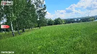 Piękne działki nad jeziorem Pile w Piławie — zdjęcie 6