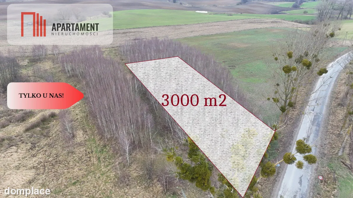 * Działka 3000m2 z WZ Łąsko Małe KORONOWO — zdjęcie 2