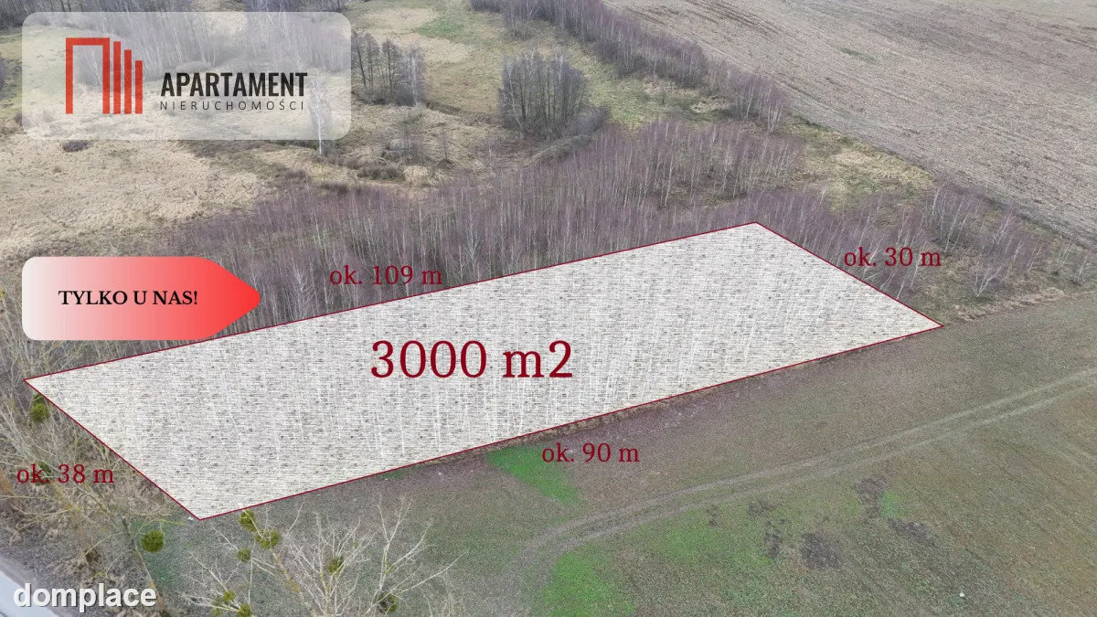 * Działka 3000m2 z WZ Łąsko Małe KORONOWO — zdjęcie 3