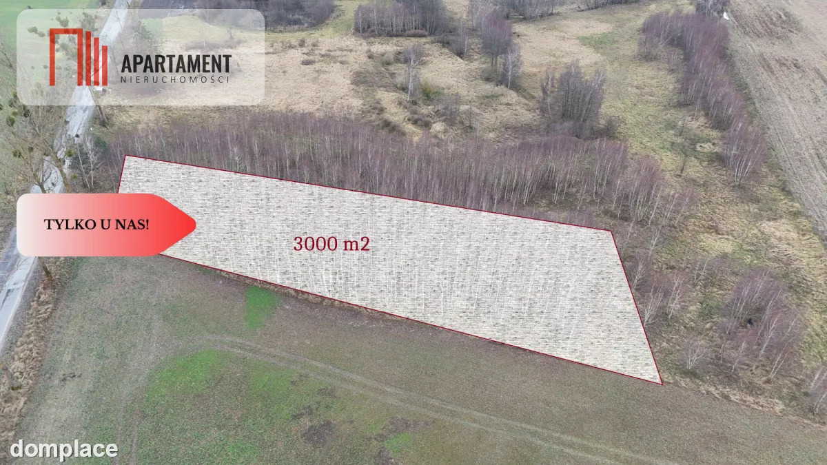 * Działka 3000m2 z WZ Łąsko Małe KORONOWO — zdjęcie 4