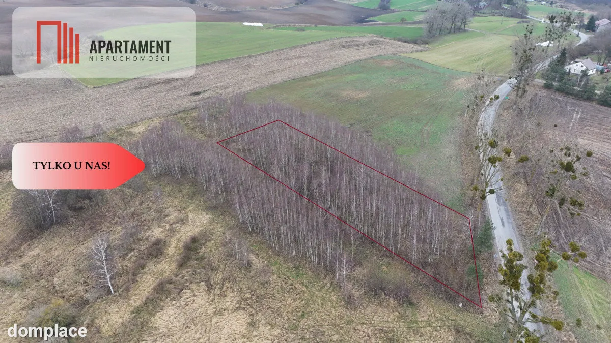 * Działka 3000m2 z WZ Łąsko Małe KORONOWO — zdjęcie 7