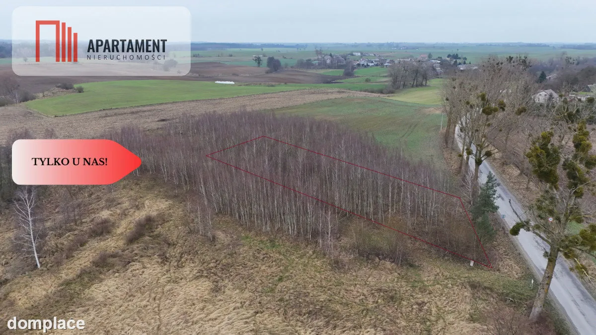 * Działka 3000m2 z WZ Łąsko Małe KORONOWO — zdjęcie 8