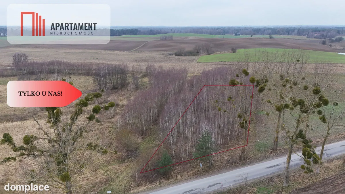 * Działka 3000m2 z WZ Łąsko Małe KORONOWO — zdjęcie 6