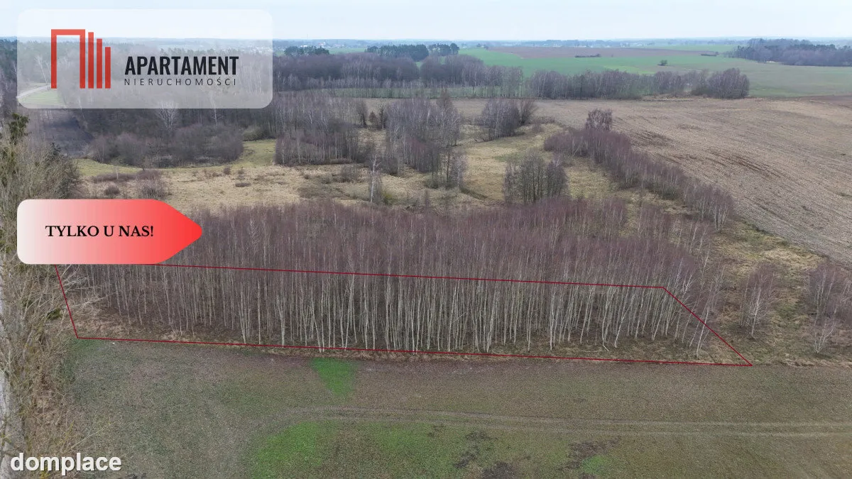 * Działka 3000m2 z WZ Łąsko Małe KORONOWO — zdjęcie 9