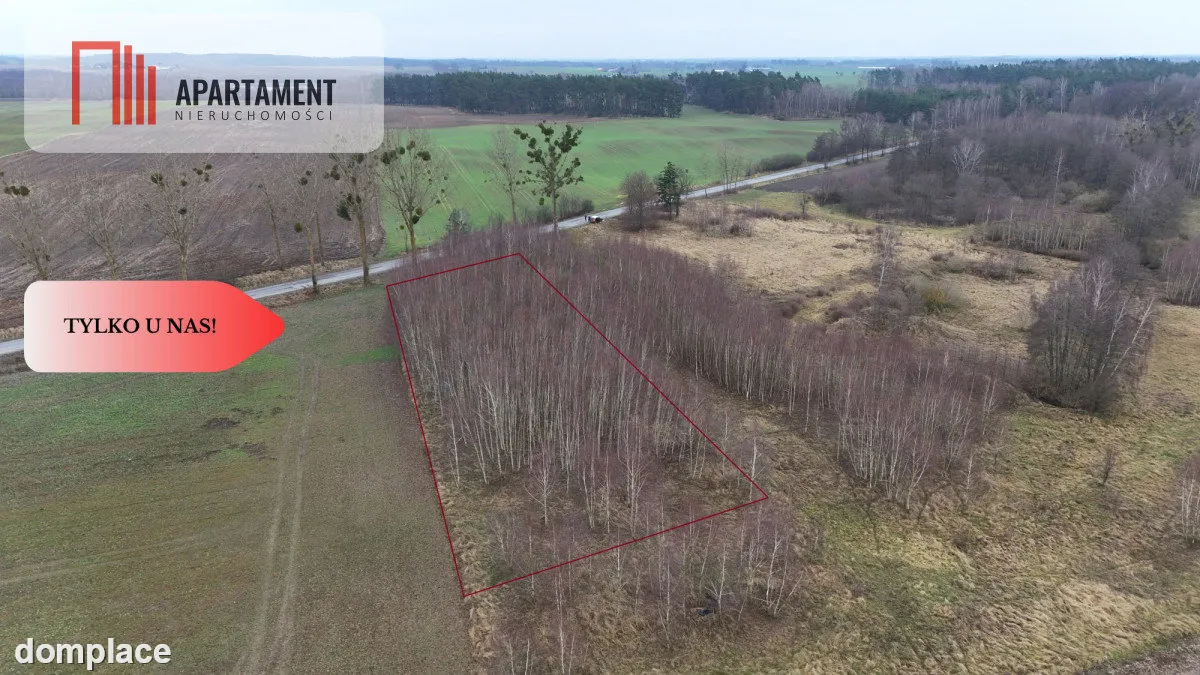 * Działka 3000m2 z WZ Łąsko Małe KORONOWO — zdjęcie 11
