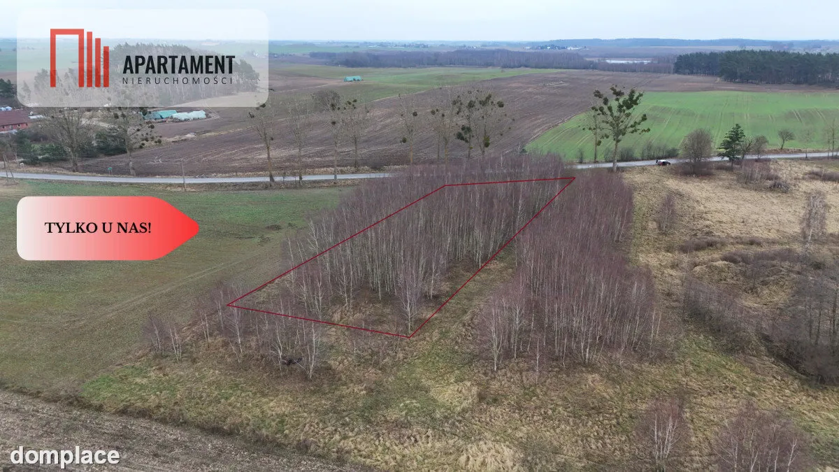 * Działka 3000m2 z WZ Łąsko Małe KORONOWO — zdjęcie 12