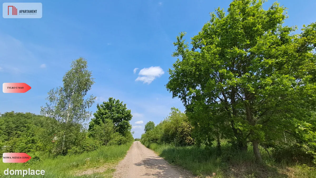 OKAZJA! Działka pod domek letniskowy – Osiek — zdjęcie 6