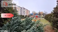 Tylko u nas! Niższa cena! M4 na Osowej G. — zdjęcie 16