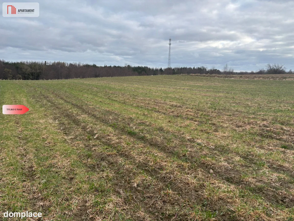 Działki z potencjałem - Liniewskie Góry — zdjęcie 7
