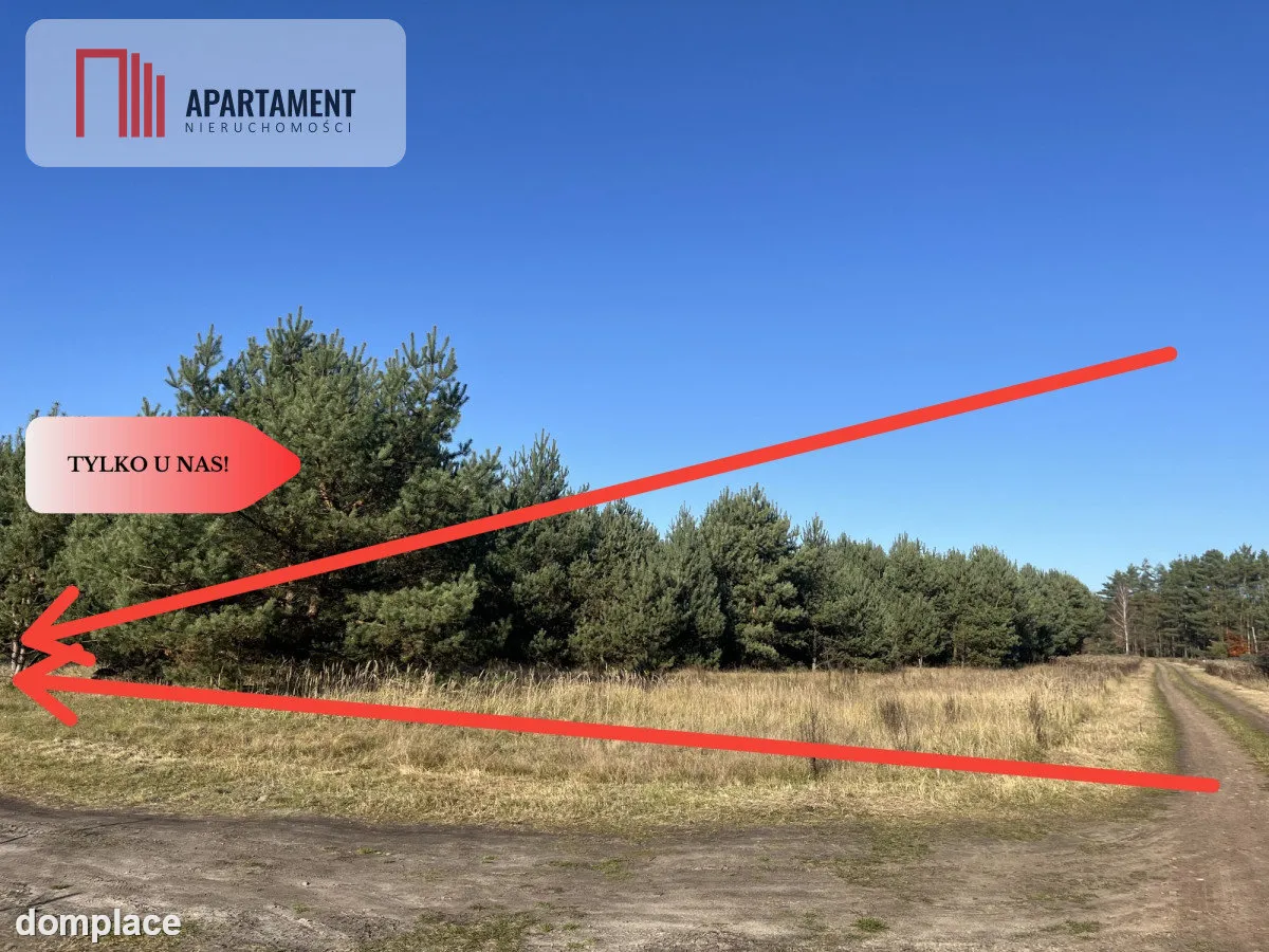 Działka pod lasem w spokojnej okolicy