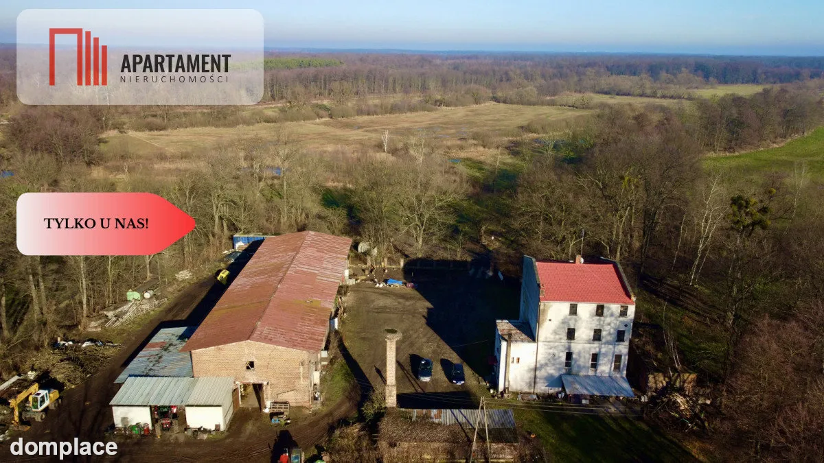 Dom, 3 mieszkania, 5 ha gruntów! Gmina Czernica — zdjęcie 5