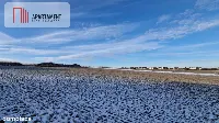 Działki budowlane w Żninie. — zdjęcie 5