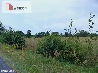 Działki z war. zabudowy pod siedlisko - Małomin — zdjęcie 3