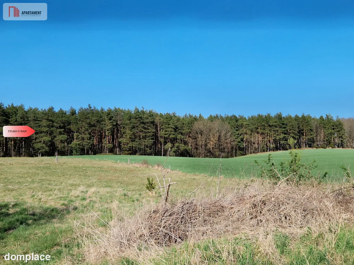 Siedlisko w Odrach z działką 12800 m2. Nowa cena — zdjęcie 8
