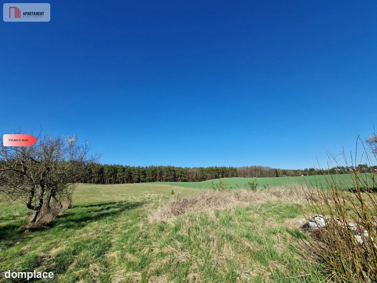 Siedlisko w Odrach z działką 12800 m2. Nowa cena — zdjęcie 9