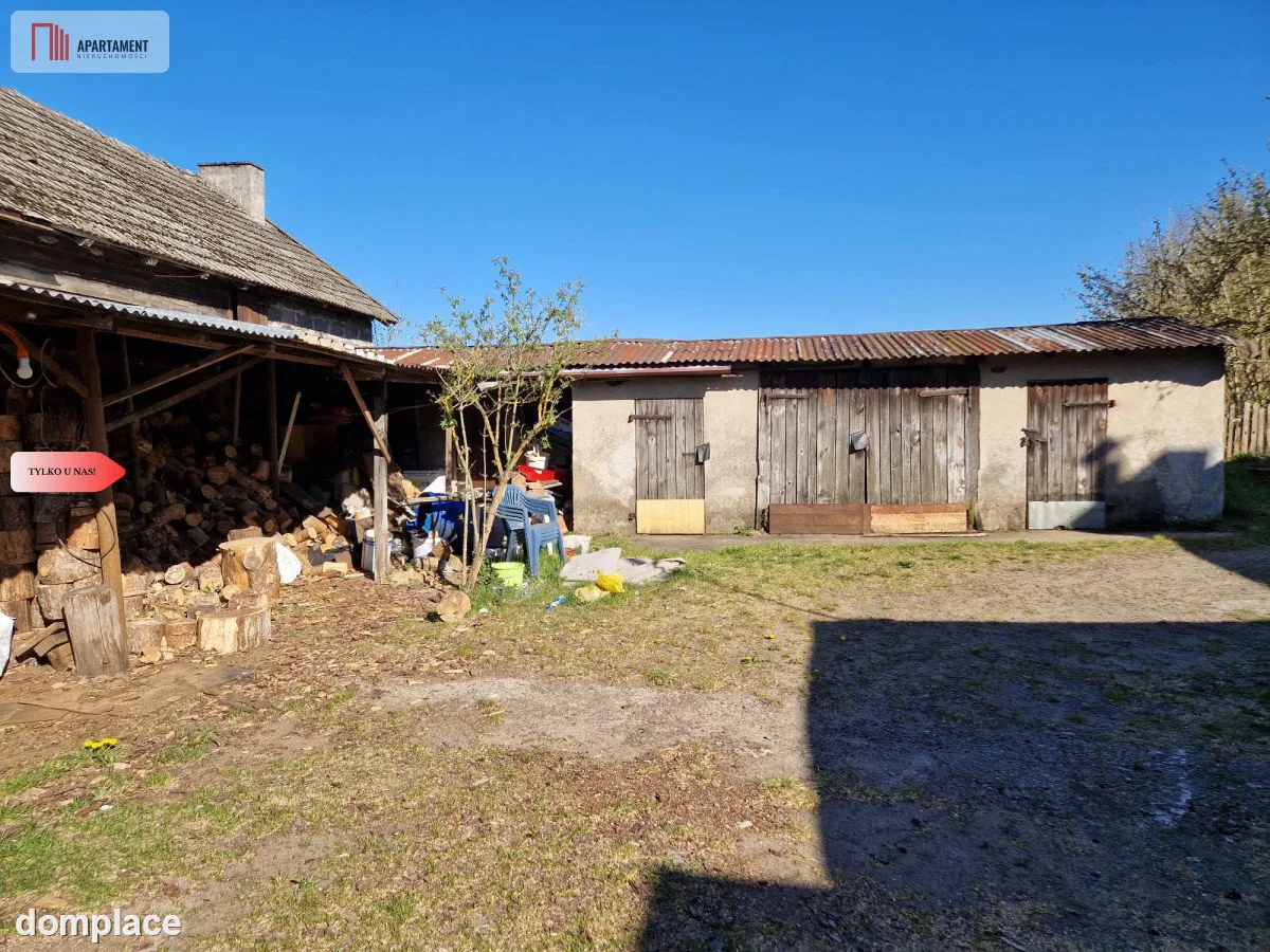 Siedlisko w Odrach z działką 12800 m2. Nowa cena — zdjęcie 4