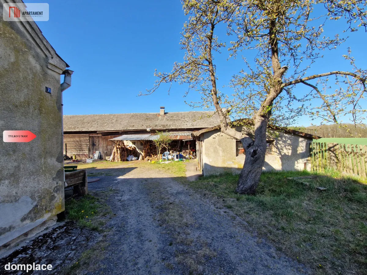 Siedlisko w Odrach z działką 12800 m2. Nowa cena — zdjęcie 3