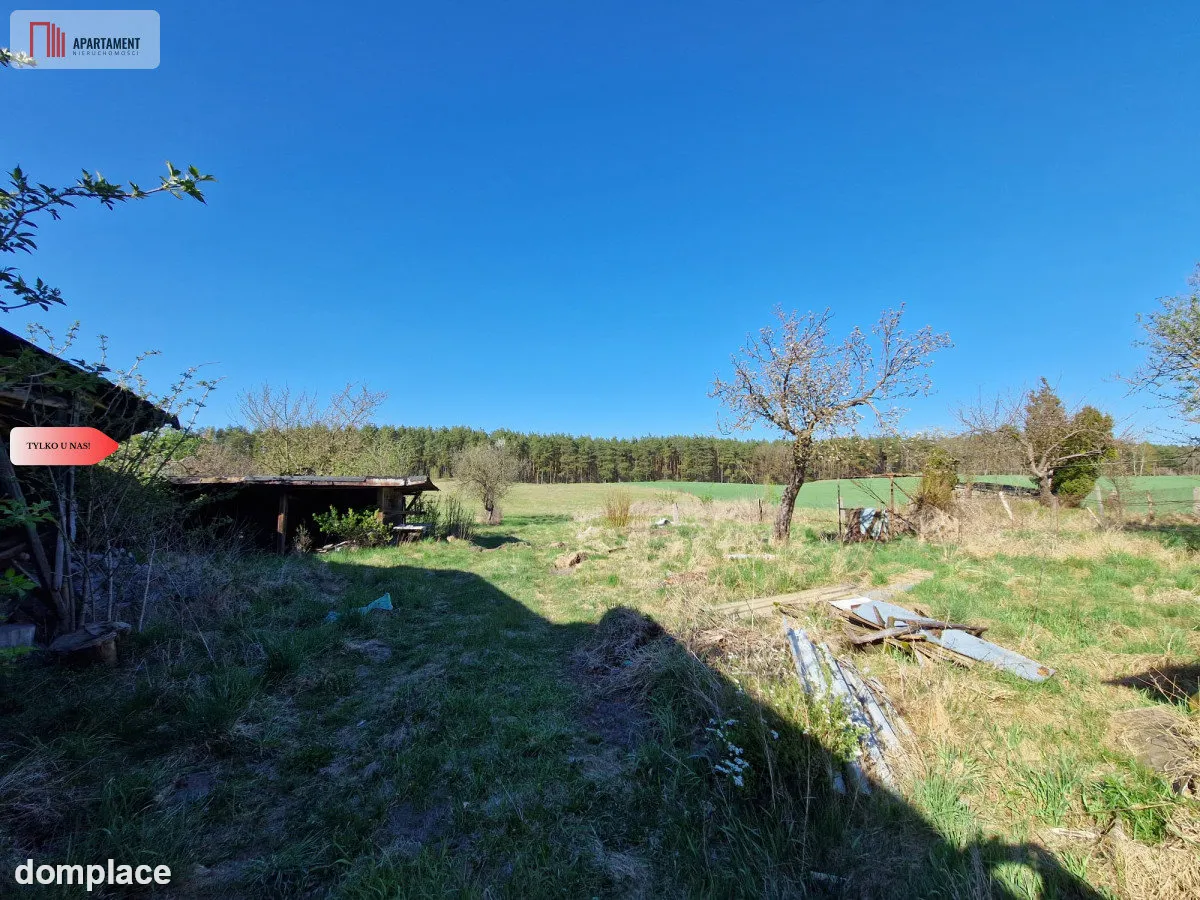 Siedlisko w Odrach z działką 12800 m2. Nowa cena — zdjęcie 10
