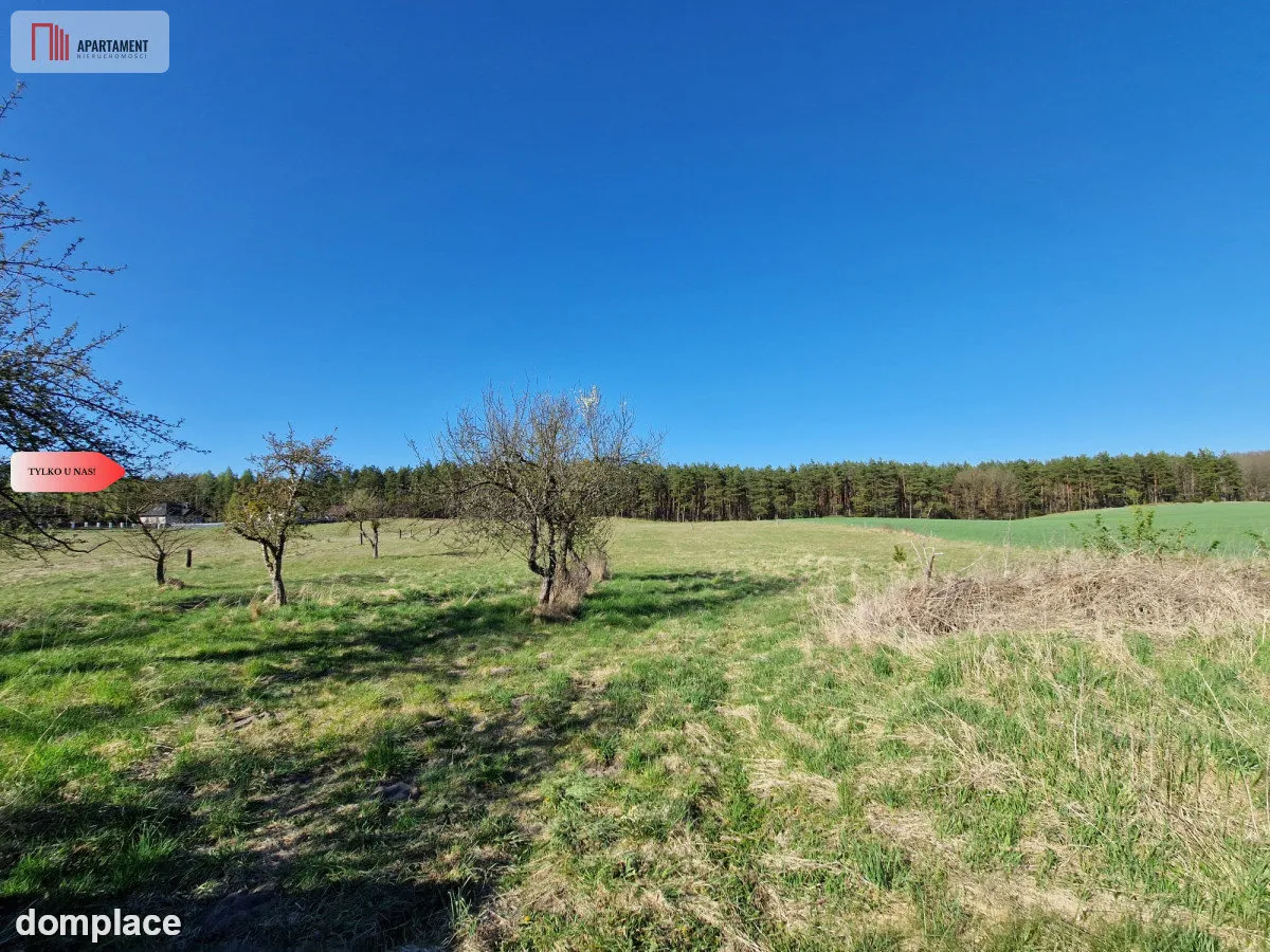 Siedlisko w Odrach z działką 12800 m2. Nowa cena — zdjęcie 11