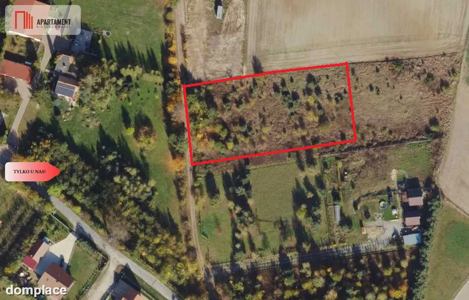 MORZEWIEC 3260m2, WYDANE WZ, CISZA, SPOKÓJ — zdjęcie 9