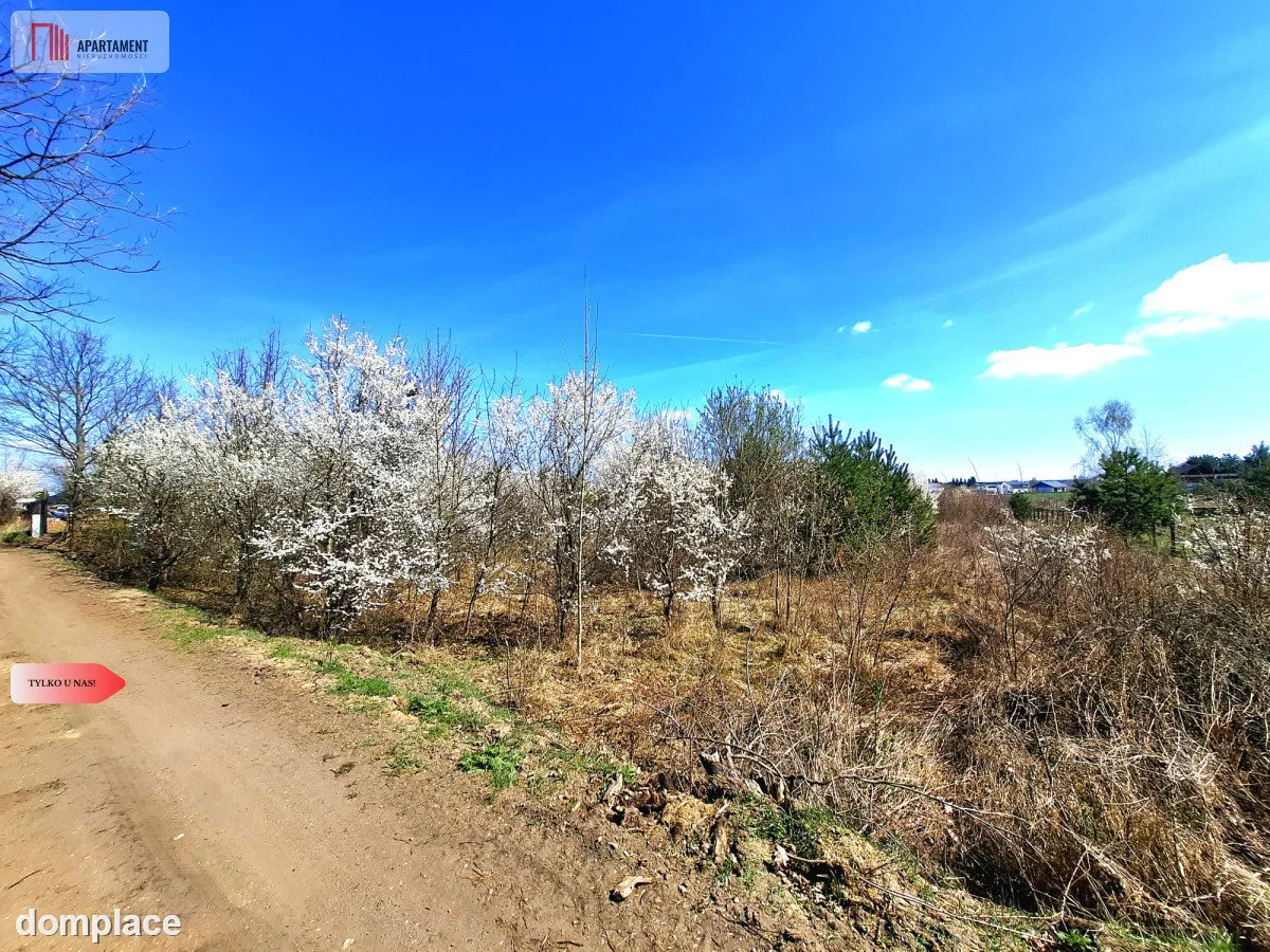 MORZEWIEC 3260m2, WYDANE WZ, CISZA, SPOKÓJ — zdjęcie 4