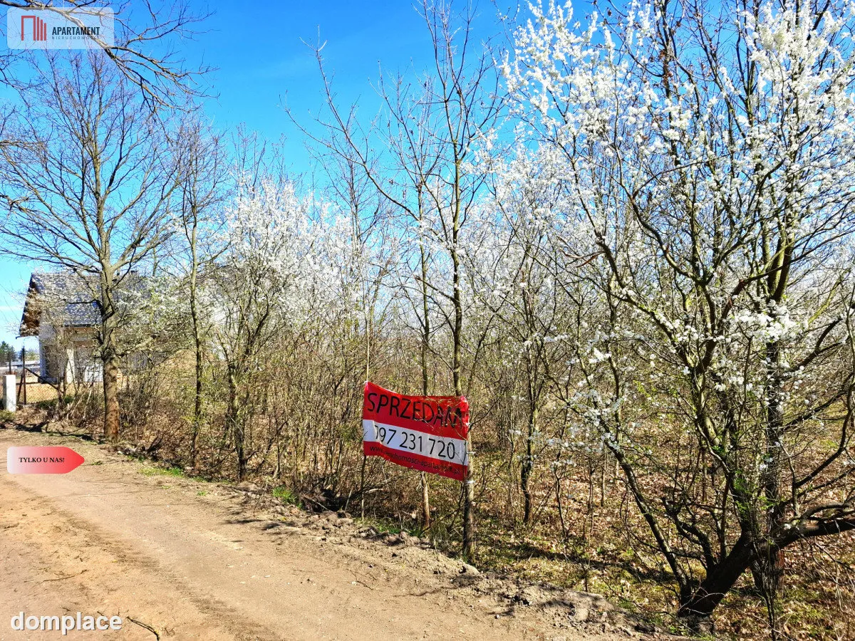 MORZEWIEC 3260m2, WYDANE WZ, CISZA, SPOKÓJ — zdjęcie 6