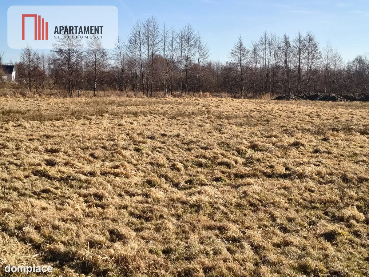 Działki z perspektywą na pełnych uroku terenach — zdjęcie 2