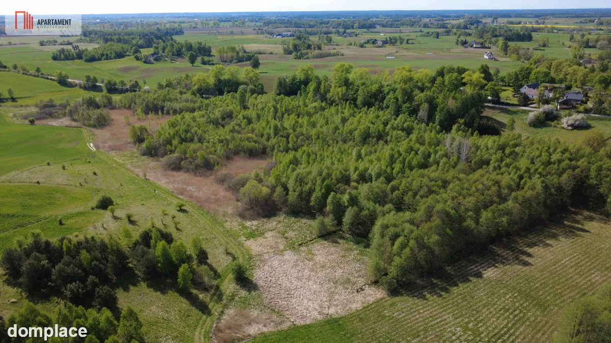 Działka 8000 m² na Kaszubach - Niedamowo — zdjęcie 2