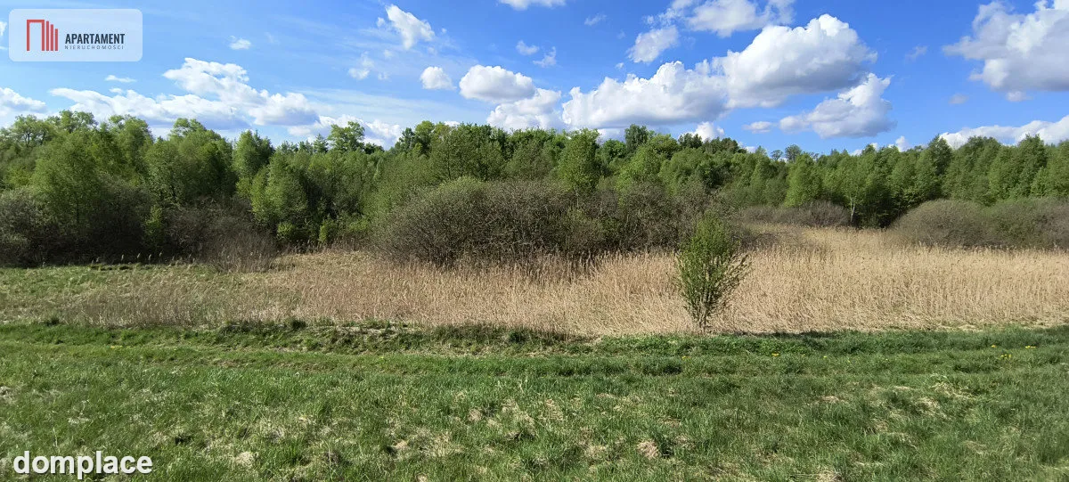 Działka 8000 m² na Kaszubach - Niedamowo — zdjęcie 5