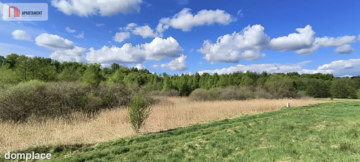 Działka 8000 m² na Kaszubach - Niedamowo — zdjęcie 6