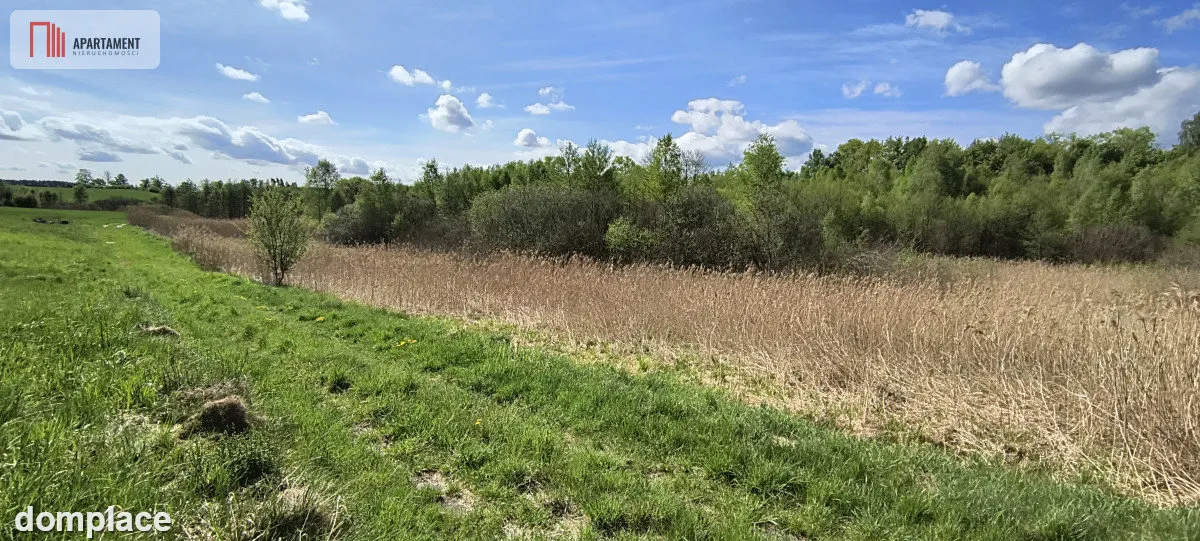 Działka 8000 m² na Kaszubach - Niedamowo — zdjęcie 7