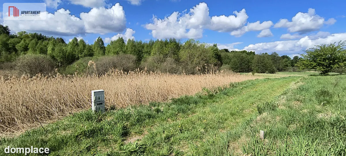 Działka 8000 m² na Kaszubach - Niedamowo — zdjęcie 8