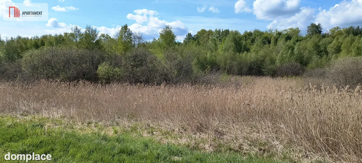 Działka 8000 m² na Kaszubach - Niedamowo — zdjęcie 9