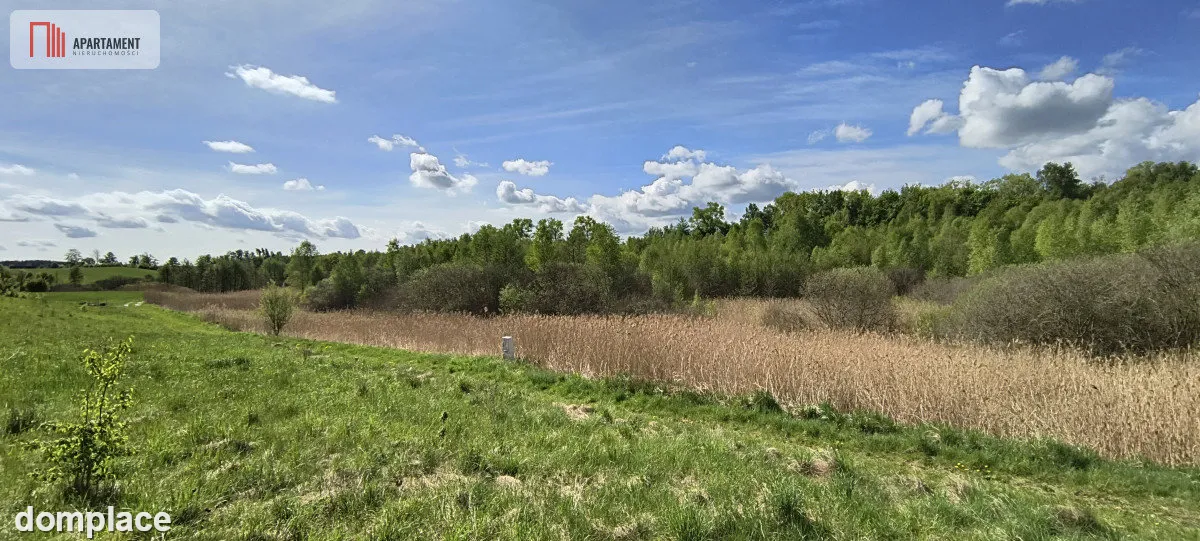 Działka 8000 m² na Kaszubach - Niedamowo — zdjęcie 11