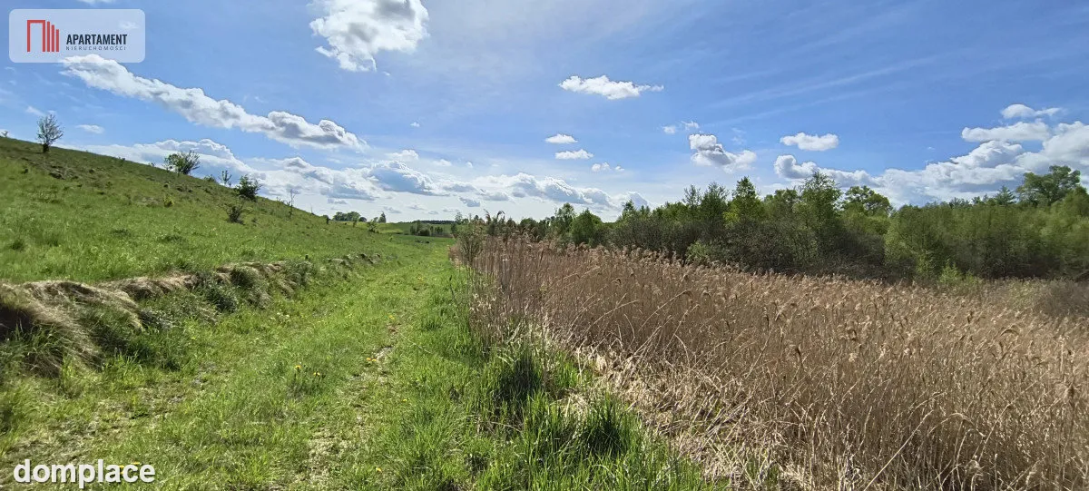 Działka 8000 m² na Kaszubach - Niedamowo — zdjęcie 12